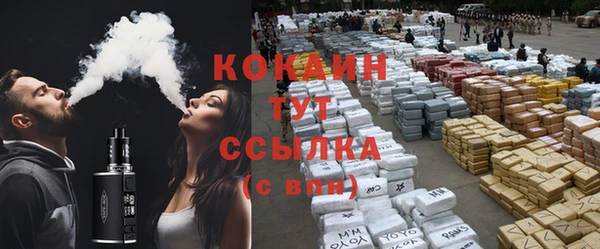 дурь Порхов